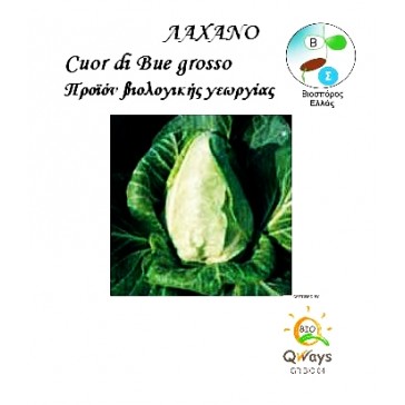 Λάχανο Cuor Di Bue Grosso, Βιολογικός σπόρος