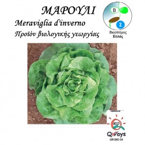 Μαρούλι Meraviglia d'inverno, βιολογικοί σπόροι