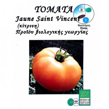 Τομάτα Jeune Saint Vincent, βιολογικοί σπόροι