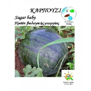 Καρπούζι Sugar Baby, Βιολογικός σπόρος