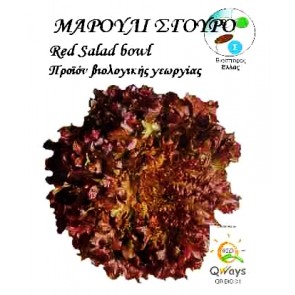 Μαρούλι Σγουρό Red Salad Bowl, Βιολογικός σπόρος